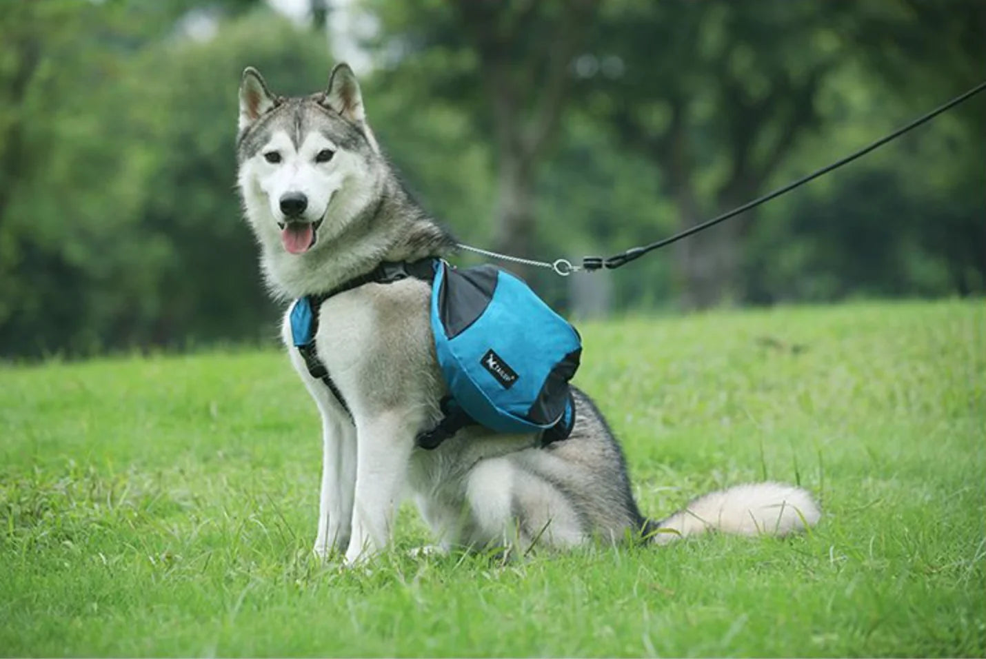 Dog Reflective Adjustable Saddle Bag Harness Carrier 